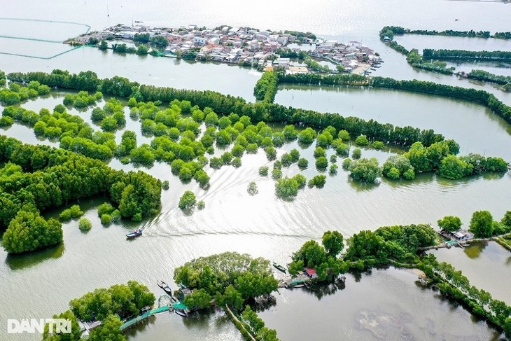 La zone écologique de Côn Chim - le joyau vert de Binh Dinh - ảnh 4