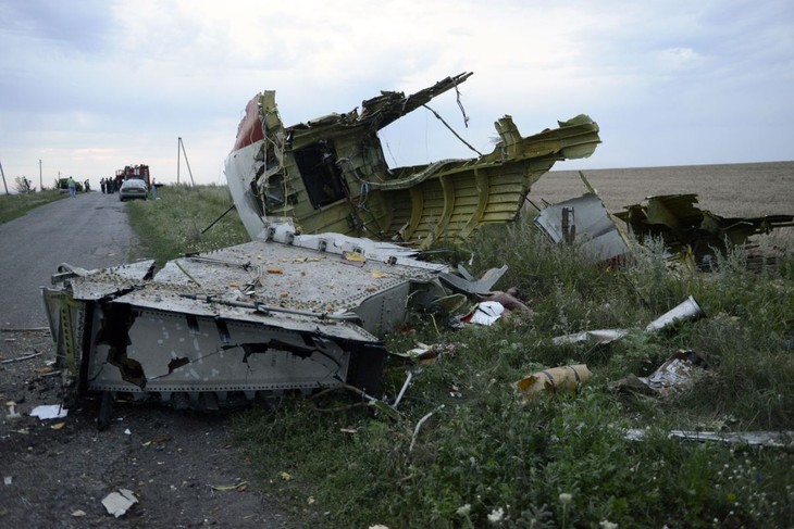 No one allowed to use MH17 tragedy for political purposes - ảnh 1