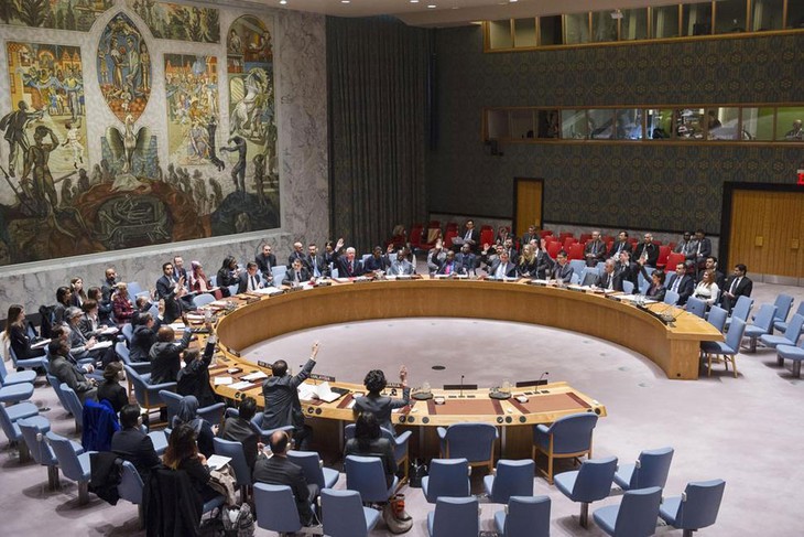 UN Security Council hails youth’s role in peace processes - ảnh 1