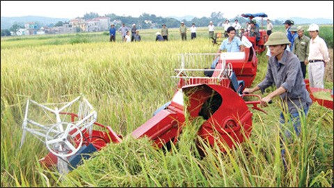 Japan to introduce investment opportunities in Vietnam’s agriculture - ảnh 1