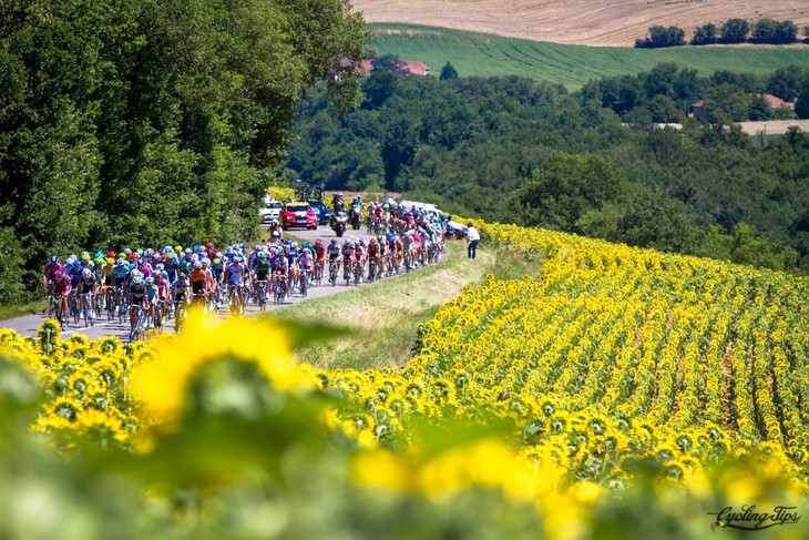 Tour de France - the world's most famous bicycle race - ảnh 4