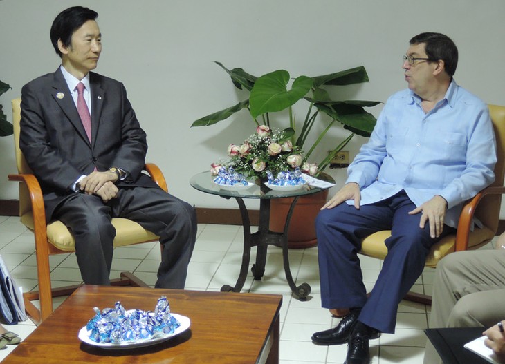 Cuba and South Korea hold first ministerial talks  - ảnh 1