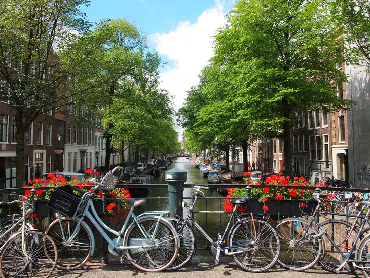 The Netherlands – The bicycle heaven of the world - ảnh 3