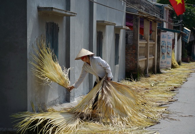 Tri Lễ - a village that makes traditional palm leaf hats - ảnh 1