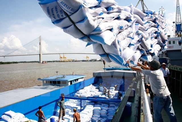 Vietnam’s rice exports to Malaysia skyrocket - ảnh 1