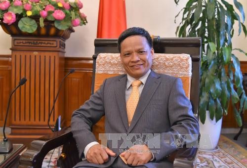 Vietnam contributes to diversity of International Law Commission - ảnh 1