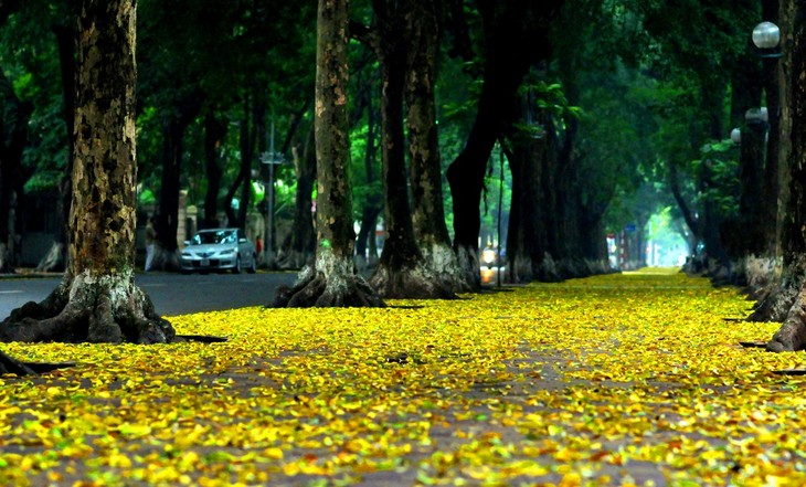 Autumn in Hanoi - ảnh 5