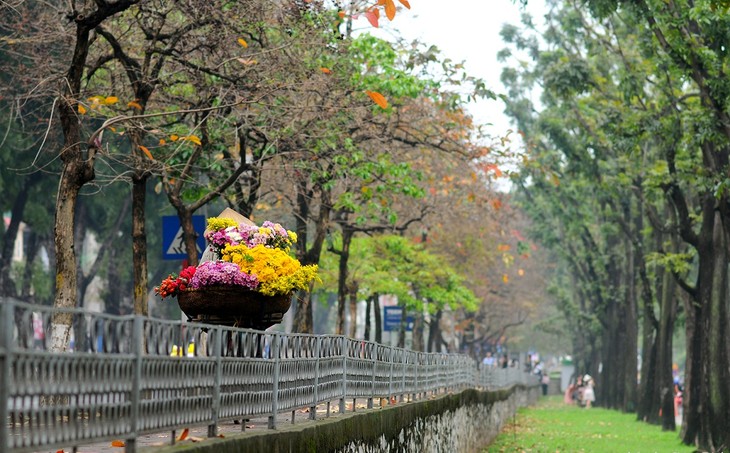 Autumn in Hanoi - ảnh 13