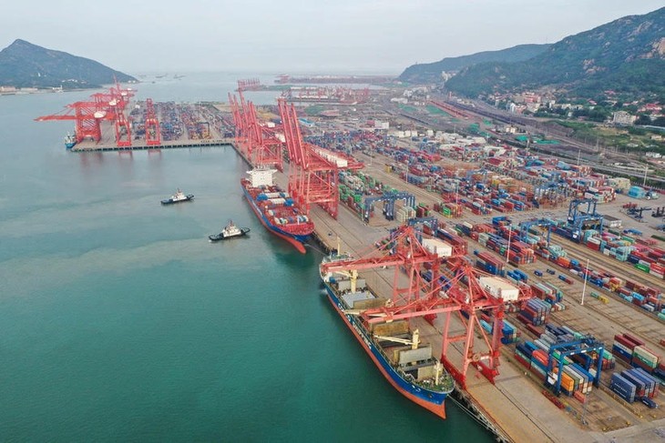 Global trade to drop 5% this year  - ảnh 1