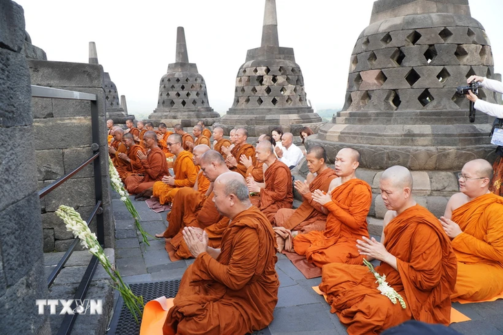 Thousands of Buddhists make pilgrimage to Indonesia on Vesak Day - ảnh 1