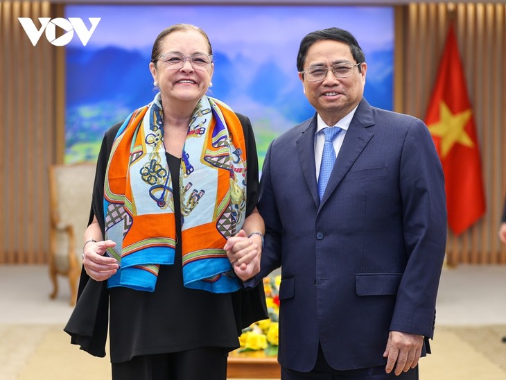 Memperkuat Lebih Lanjut Hubungan Kerja Sama antara Vietnam dan El Salvador - ảnh 1