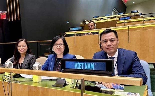 Vietnam secara Aktif dan Proaktif Berkontribusi pada Pendorongan Kesehatan Global - ảnh 1