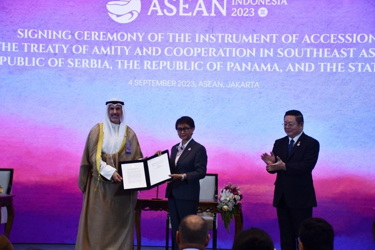 Banyak Negara Menandatangani TAC: Daya Tarik dan Nilai ASEAN - ảnh 1