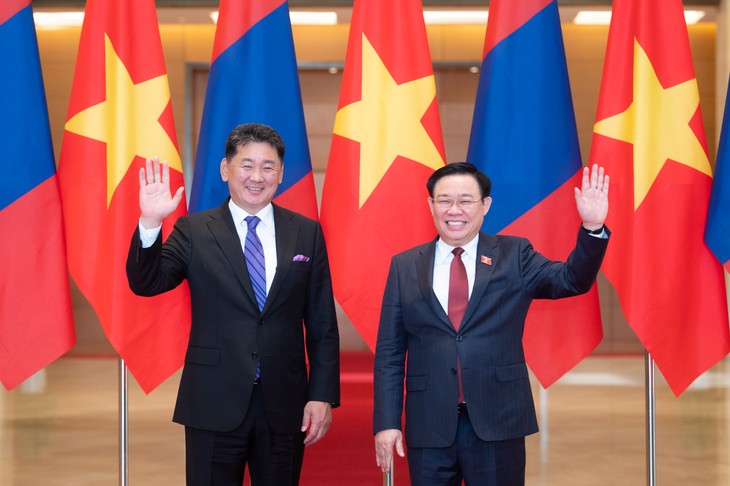 Ketua MN Vuong Dinh Hue Beraudiensi dengan Presiden Mongolia - ảnh 1