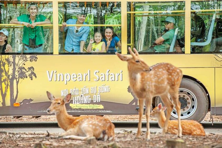 Memperkenalkan tentang Zona Konservasi Hewan di Vietnam - ảnh 1