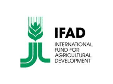 IFAD ອຸປະຖຳ 33 ລ້ານ USD ຊ່ວຍຫວຽດນາມ ພັດທະນາຊົນນະບົດຢ່າງໝັ້ນຄົງ - ảnh 1