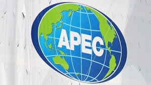 ສິ່ງທ້າທາຍຂອງ APEC ໃນວິວັດທະນາການ ທ້ອນໂຮມບັນດາພື້ນຖານເສດຖະກິດເປັນເອກະພາບ - ảnh 1