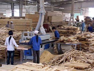 Steigender Export von Holzerzeugnissen - ảnh 1
