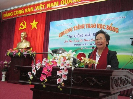 Vize-Staatspräsidentin Nguyen Thi Doan überreicht Stipendien an Bergprovinzen - ảnh 1