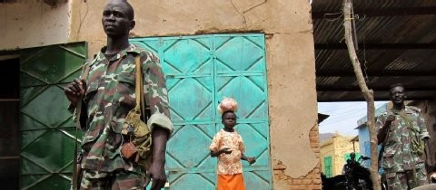 Sudan: Rebellen erobern einen Militärstützpunkt in Südkordofan - ảnh 1