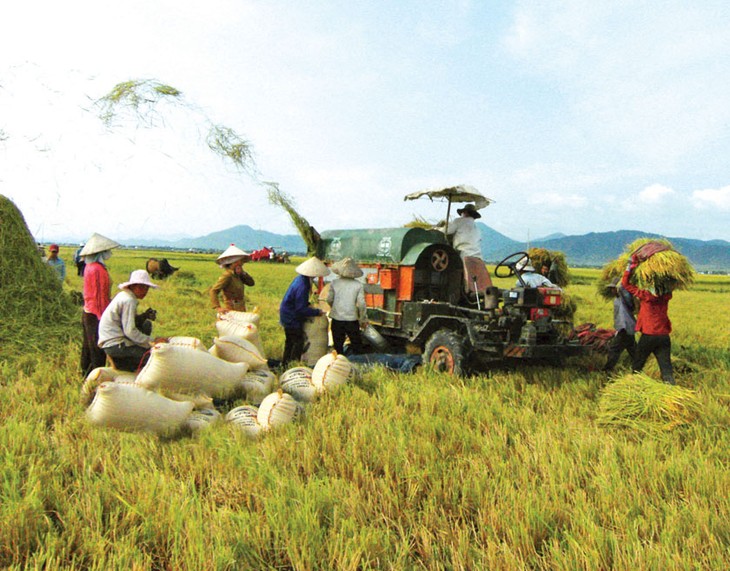 Mechanisierung bei Reisproduktion im Mekong-Delta - ảnh 1