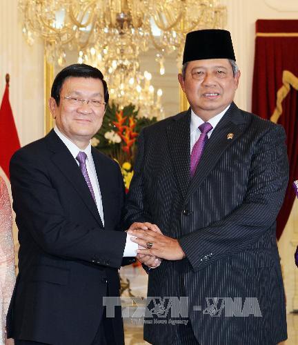 Vietnam und Indonesien veröffentlichen gemeinsame Erklärung - ảnh 1
