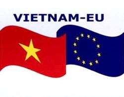 Gespräch über die Verhandlung eines Freihandelsabkommens zwischen Vietnam und der EU - ảnh 1