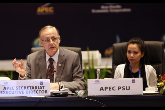 Vietnam engagiert sich für die APEC-Arbeit - ảnh 1