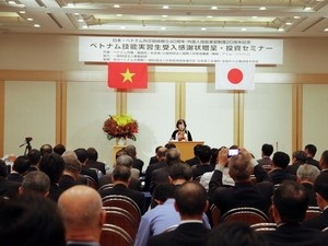 Kooperation für Entwicklung der Arbeitskräfte zwischen Vietnam und Japan - ảnh 1