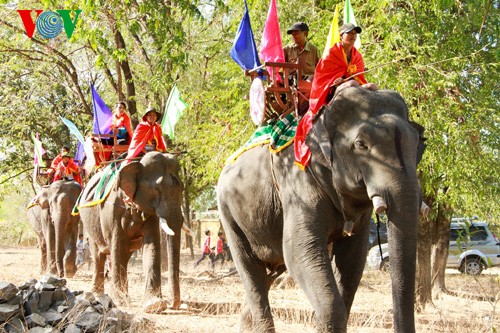 Das Elefanten-Fest im Dorf Don - ảnh 6