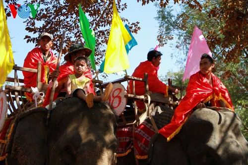 Das Elefanten-Fest im Dorf Don - ảnh 7