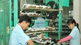 Reform bei Unternehmen in Ho Chi Minh Stadt - ảnh 1