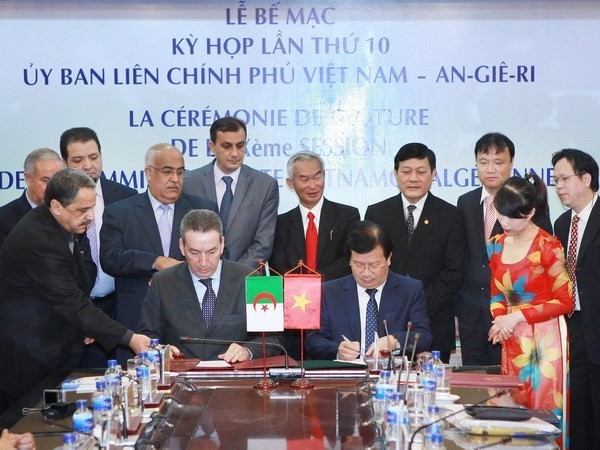 Politische Konsultation zwischen Vietnam und Algerien - ảnh 1