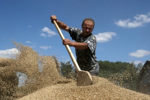Ukraine-Krise löst weltweiten Preisanstieg bei Nahrungsmitteln aus - ảnh 1