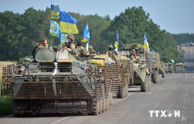 Ukraine verkleinert Gebiete für die Offensive gegen Terroristen - ảnh 1
