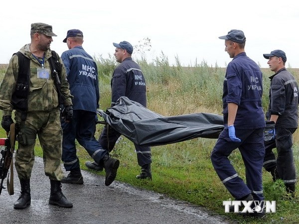 Russland: es soll eine internationale unabhängige und objektive Ermittlung über Flug MH17 geben - ảnh 1