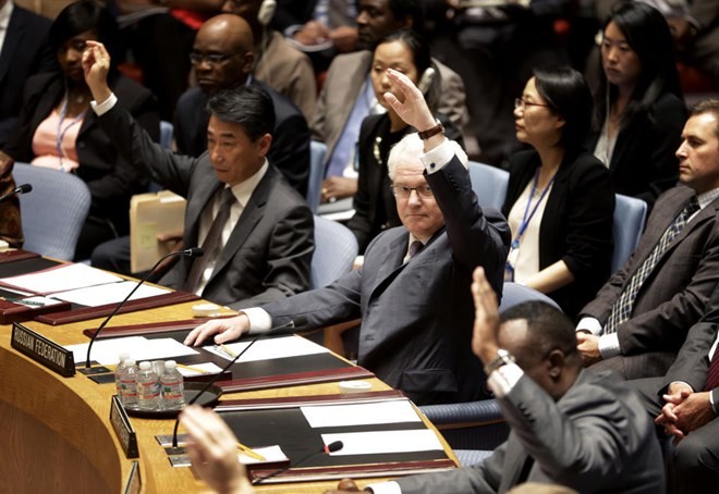 UN-Sicherheitsrat verabschiedet Resolution über den Absturz des Fluges MH17 - ảnh 1