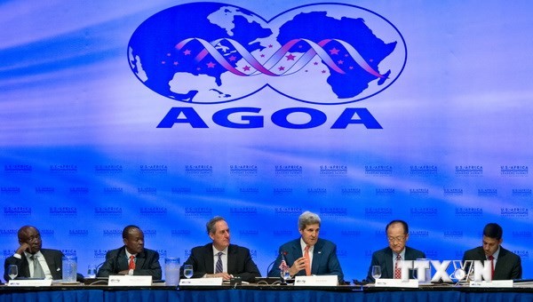 Die USA und afrikanische Länder verstärken die Zusammenarbeit - ảnh 1