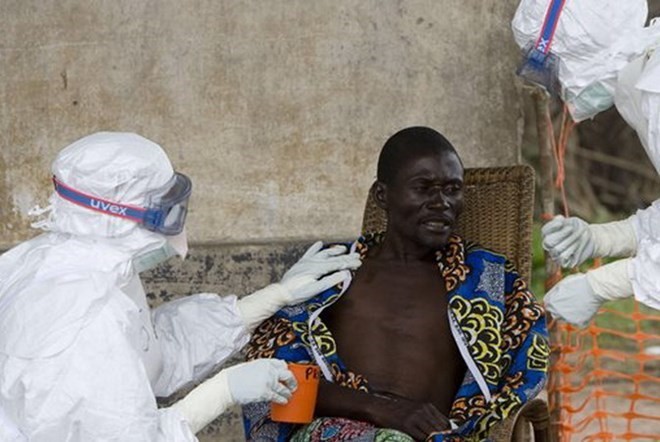 Sondersitzung von WHO über Ebola-Epidemie  - ảnh 1