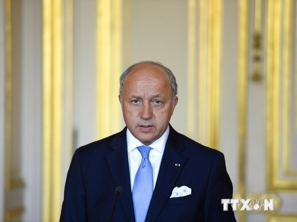 Frankreich hat keinen Plan für Militäreinsatz im Irak - ảnh 1