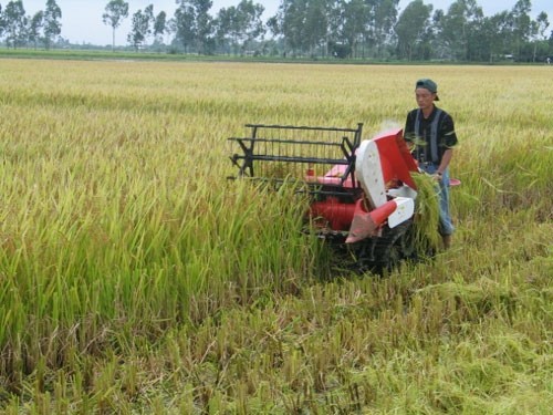 Zusammenlegung der Felder in der Provinz Bac Ninh - ảnh 1