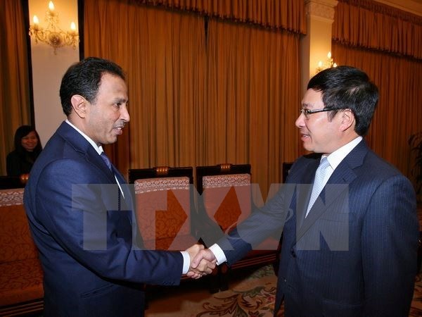 Außenminister Pham Binh Minh empfängt den Botschafter der Vereinigten Arabischen Emirate - ảnh 1