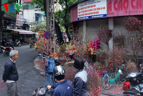 Pfirsichzweige in den Straßen Hanois  - ảnh 12