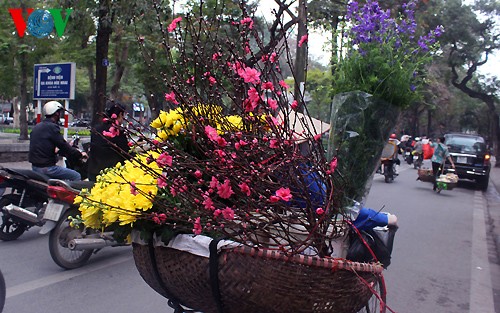 Pfirsichzweige in den Straßen Hanois  - ảnh 13