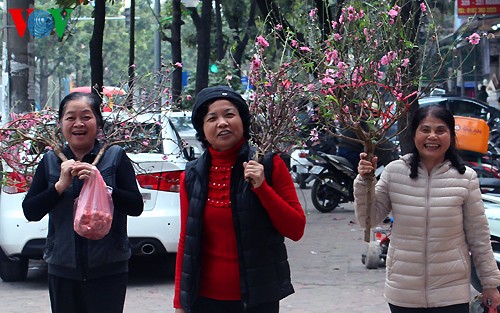 Pfirsichzweige in den Straßen Hanois  - ảnh 9