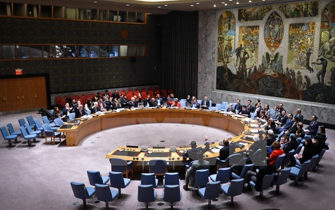 Der UN-Sicherheitsrat verabschiedet Resolution über die Friedensvereinbarung in der Ukraine  - ảnh 1