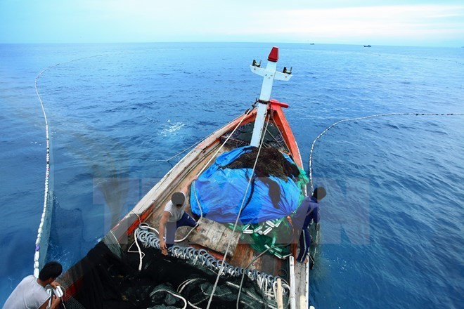 Die Strategie zum integrierten Küstenmanagement in Vietnam bis 2020 - ảnh 1