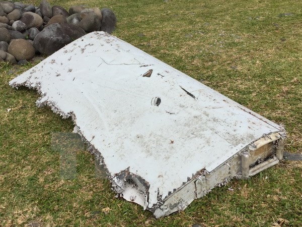 Frankreich: Das gefundene Wrackteil auf der Insel La Réunion stammt von MH370 - ảnh 1
