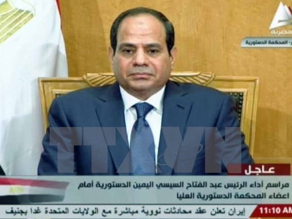 Der ägyptische Präsident ruft seine Landsleute zur Stimmabgabe auf - ảnh 1