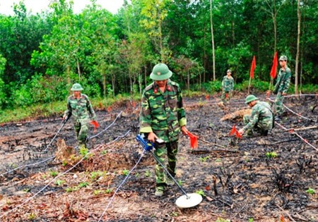 Bildung des Verbands zur Beseitigung der Folgen von Blindgängern in Da Nang - ảnh 1